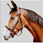 LightRider Leather Bitless Noseband